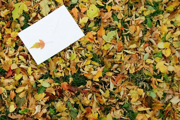 Letter on the autumn background — Stock Photo, Image