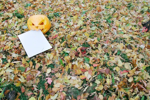 Calabaza comer carta en hojas de otoño —  Fotos de Stock