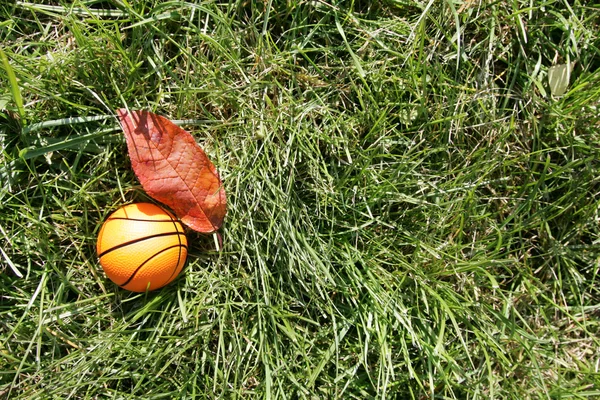 Oranje basketbal op groen gras — Stockfoto