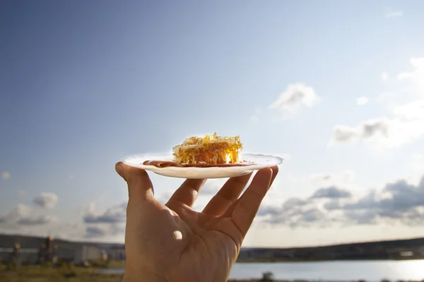 Honey comb on a white saucer — Stock Photo, Image