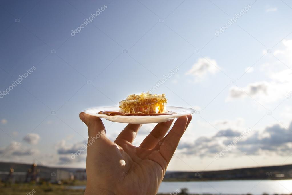 Honey comb on a white saucer