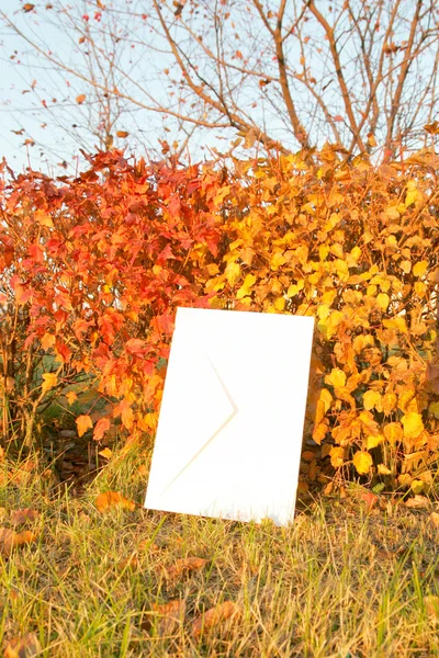 Letter on the autumn background — Stock Photo, Image
