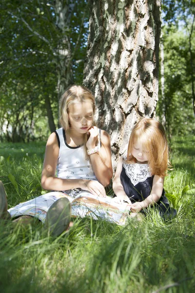 Sestry, čtení knihy na piknik — Stock fotografie