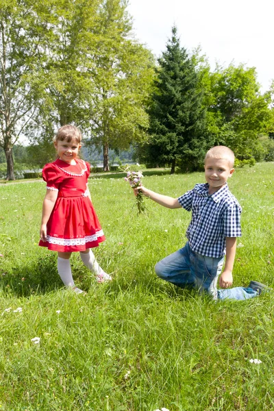 Chłopak daje kwiat dziewczyna. dzieci zabawy na świeżym powietrzu — Zdjęcie stockowe