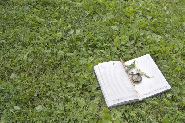 Boek, aardbeien en klok liggend op een groen bos gazon — Stockfoto