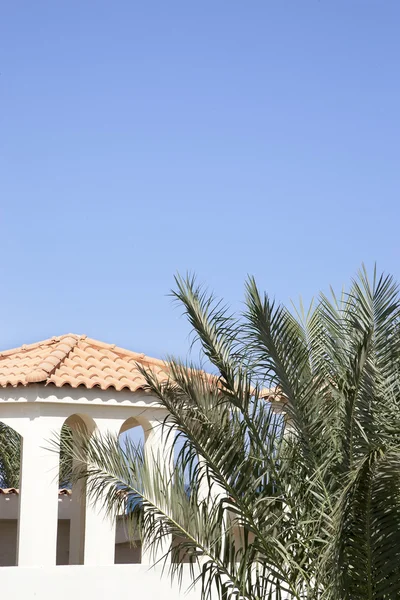 Medieval house in the Romanesque style, surrounded by palm trees — Stock Photo, Image