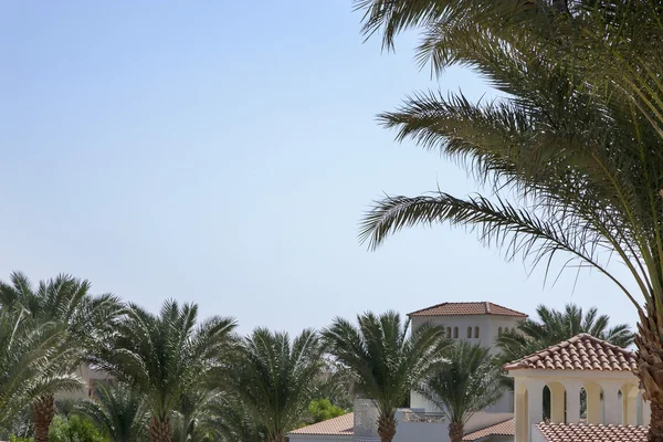 Medieval house in the Romanesque style, surrounded by palm trees — Stock Photo, Image