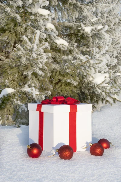 Noel hediyesi çam yakınındaki karlı bir ormanda — Stok fotoğraf