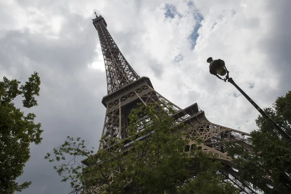 Vista inferior de la Torre Eiffel entre las ramas de los árboles — Foto de Stock