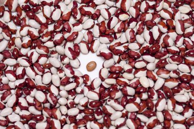 Beyaz arka plan üzerinde renkli fasulye