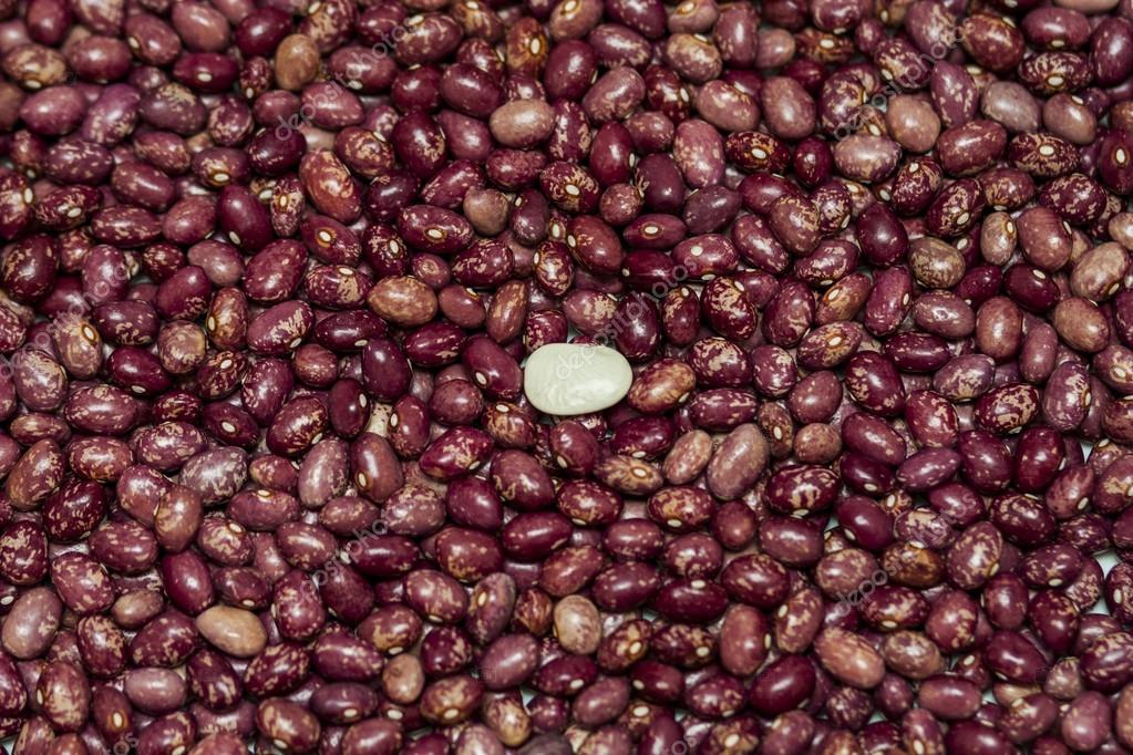 una judías blancas rodeados de muchos granos de colores — Foto de stock © comondear 82268198