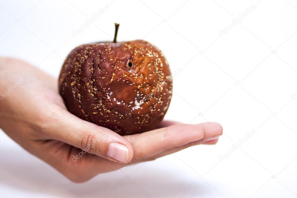  rotten apple in a delicate female hand