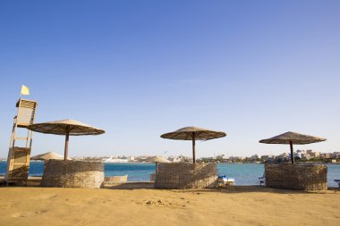 ıssız kumsalda arka plan ile Kuru dallar güneş şemsiyeleri