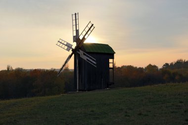 forest yakınındaki bir çayır üzerinde yeşil bir çatı ile güzel yel değirmeni