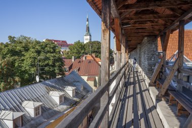 Tallinn şehir duvarları