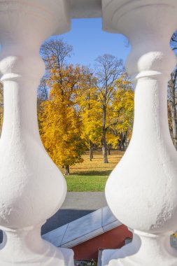 Parkta Kadriorg sonbahar