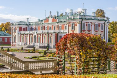 Parkta sonbahar ağaçları