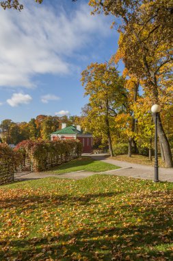 Parkta sonbahar ağaçları