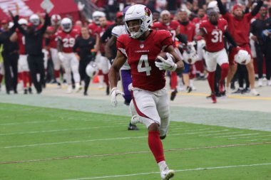 Minnesota Vikings, Arizona Cardinals 'a karşı. Glendale 'deki State Farm Stadyumu' nda futbol maçı, AZ / USA 19-2021