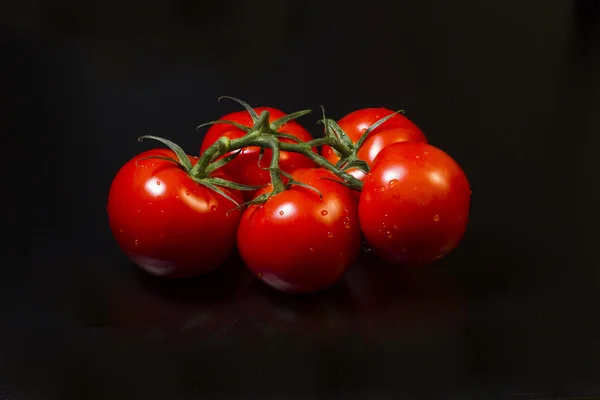 Tomatoes — Stock Photo, Image