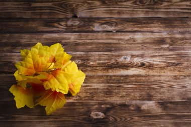 ahşap zemin üzerinde akçaağaç yaprakları