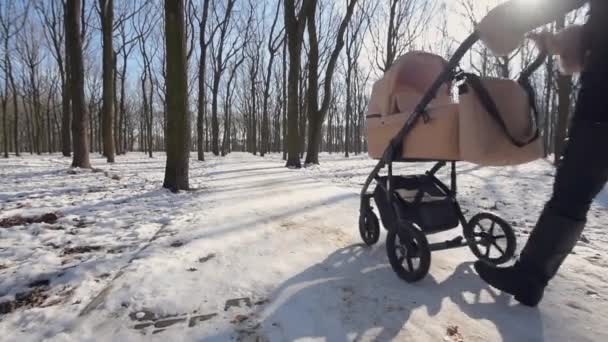 Мама Детской Коляской Идет Вперед Заснеженному Парку Морозную Зимнюю Погоду — стоковое видео