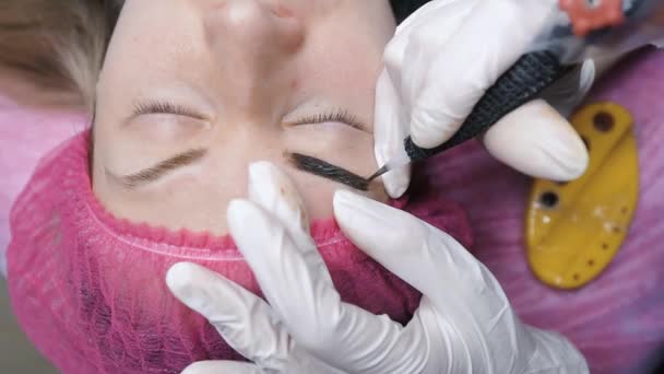 Maskenbildnerin Tätowiert Klientin Salon Die Augenbrauen Nahaufnahme Eines Kosmetikers Der — Stockvideo