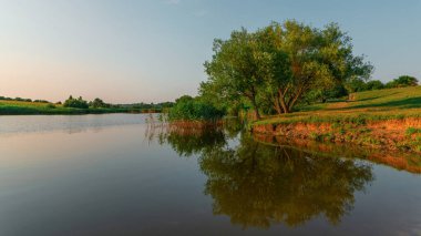 Ağaçların suda yansıdığı güzel bir yaz manzarası. Yaz akşamı gölünün manzarası. Huzurlu akşam manzarası. Göl kenarında meşe ağacı