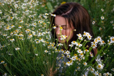 Papatya tarlasında güzel bir kadın. Papatya tarlasında oturan esmer bir kızın yakın portresi.