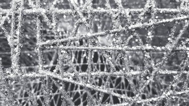 Parti, festival, etkinlik veya Noel için kağıt, tel ve sprey boyayla yapılan sahte kar, siyah ve beyaz tonda kutlanıyor. Gümüş ya da beyaz parıltı ya da parlak arkaplan.