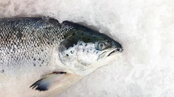 Frischer Lachs Friert Auf Eis Ein Und Wird Auf Dem — Stockfoto