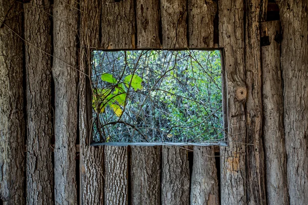 Grungy houten structuren — Stockfoto