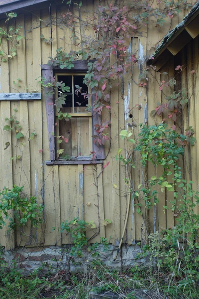 Grungy wooden textures — Stock Photo, Image