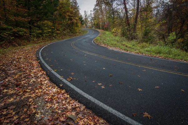 Kronkelende Mountain Road — Stockfoto