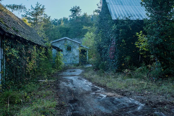 Google Street View mostra imagens de cidade fantasma no meio do