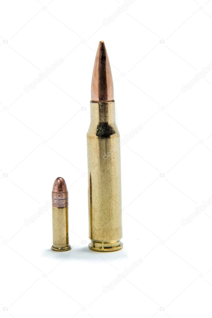 .308 vs .22 Lr Ammunition