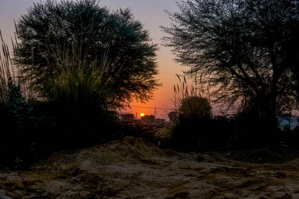 Stunning Sunset Sky Trees — Stockfoto