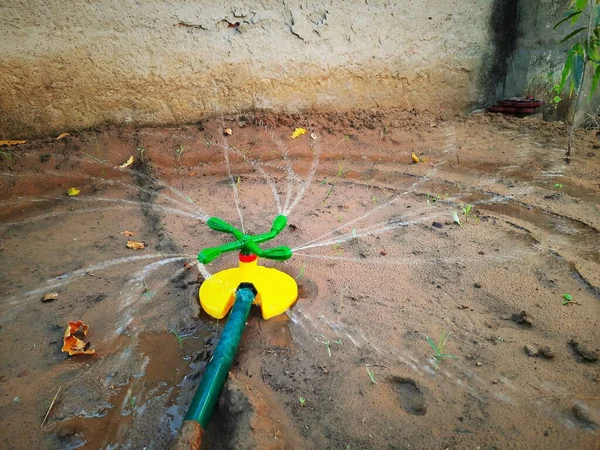 Petit Arroseur Plastique Pour Irrigation Des Pousses Dans Jardin — Photo