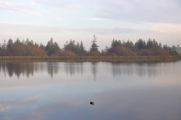 Shimmery Reflection Autumn Tree Tops Dam Wall Partially Submerged Metal — Stock Photo, Image