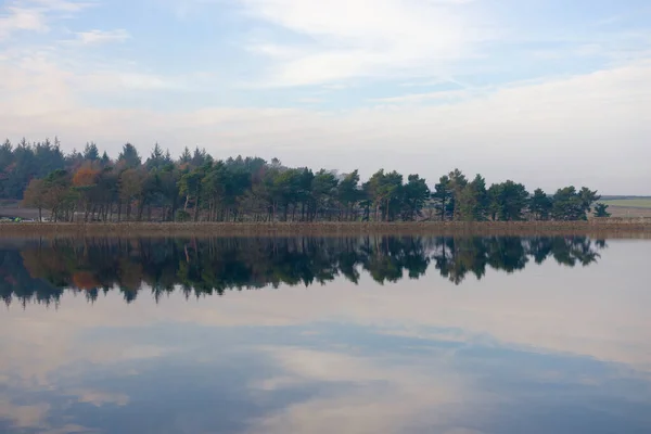 Autumn Season Coniferous Forest Reflected Still Water Redmires Reservoirs Wispy — Stock Photo, Image