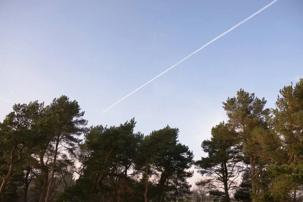 Sacco Spazio Copia Sotto Forma Cielo Semplice Sera Blu Circonda — Foto Stock