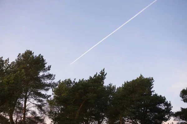 Grandi Foglie Aereo Linea Vapore Contrae Dietro Causa Dei Suoi — Foto Stock