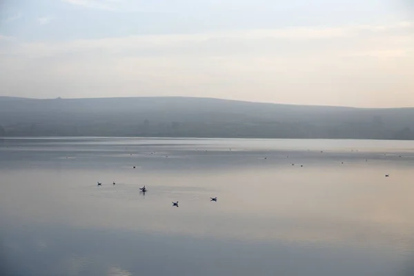 Haze Gives Water Landscape Dusk Good Background Texture Many Birds — Stock Photo, Image