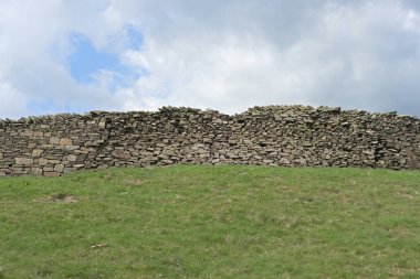 Yeşil çimenli bir tarladan oluşan düz bir kırsal arkaplan görüntüsü, ortada uzanan uzun kuru taş duvar ve arkasında bulutlu mavi bir gökyüzü.