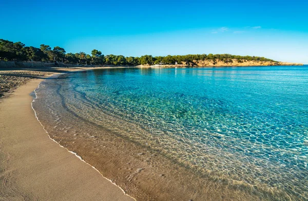 Cala Bassa plajı. İbiza adası. İspanya.