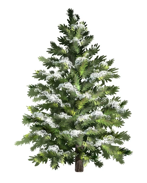 Karlı yeşil ladin. Buzlu Noel ağacı. Gerçekçi çam ağacı. Vektör illüstrasyonu.