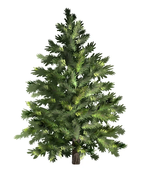 Abeto Verde Árbol Navidad Pino Realista Ilustración Vectorial — Vector de stock