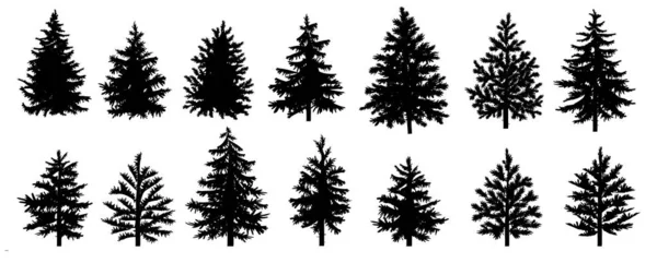 Set Black Silhouettes Christmas Trees Fir Tree Pine Tree Spruce — Stock Vector