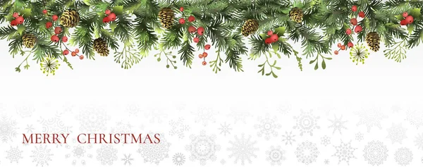 圣诞节 新年的边界与圣诞树的枝条 冬青浆果和球果 圣诞节的背景矢量说明 — 图库矢量图片
