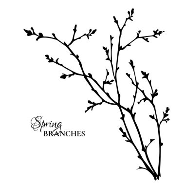 Bahar dallarının siyah silueti. Vektör illüstrasyonu.